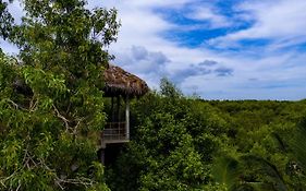 Mermaid Cabana And Tree Houses