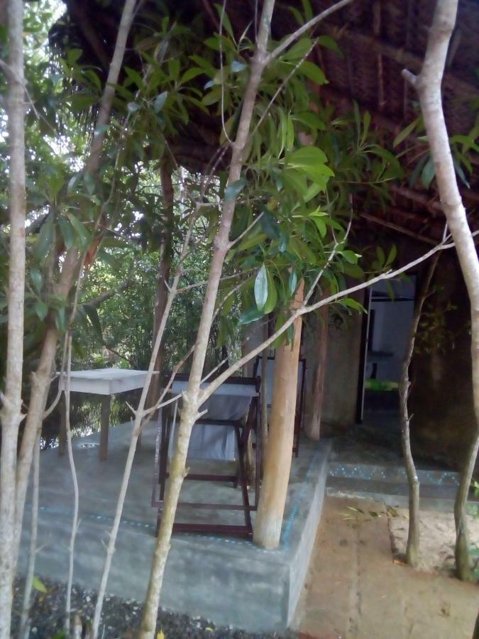 Mermaid Cabana And Tree Houses Tangalle Esterno foto