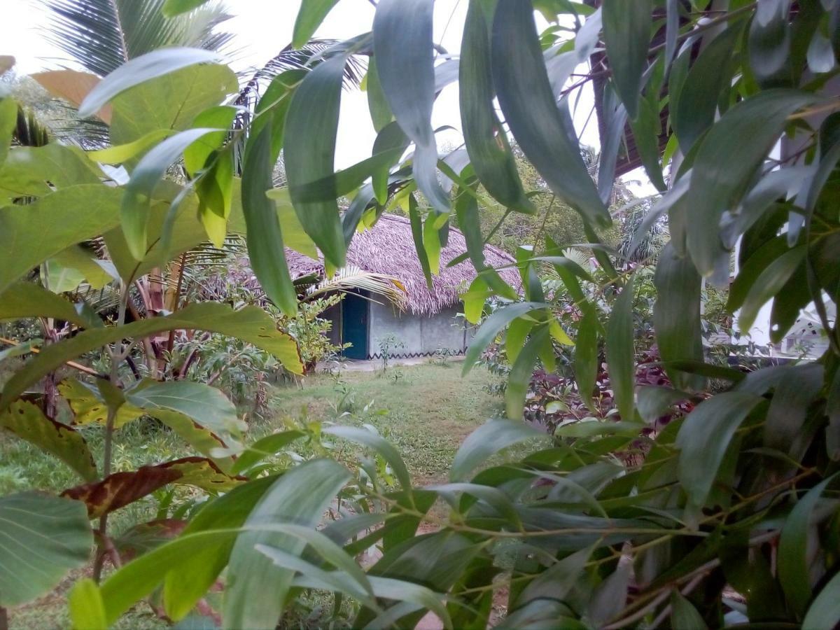 Mermaid Cabana And Tree Houses Tangalle Esterno foto