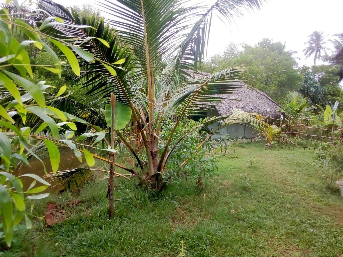 Mermaid Cabana And Tree Houses Tangalle Esterno foto