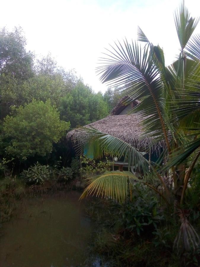 Mermaid Cabana And Tree Houses Tangalle Esterno foto