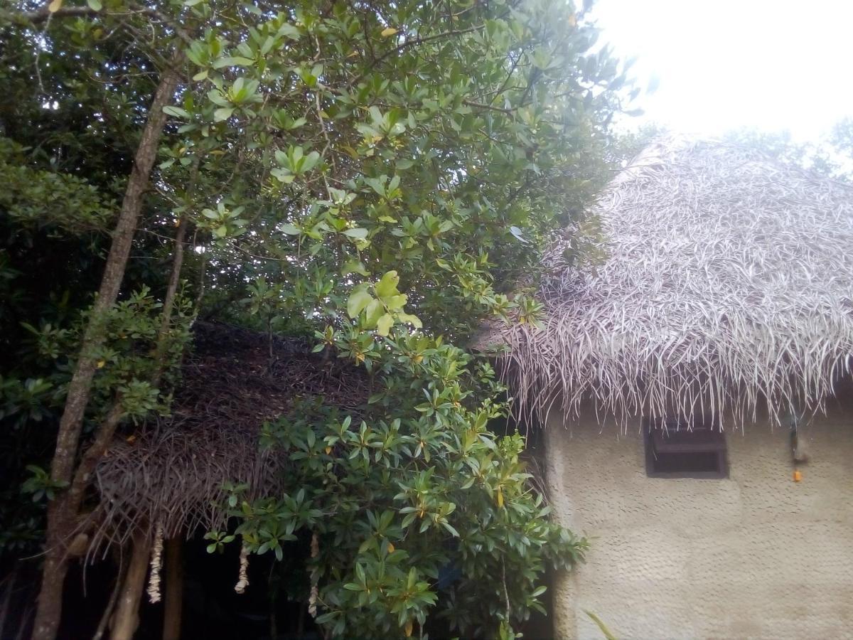 Mermaid Cabana And Tree Houses Tangalle Esterno foto