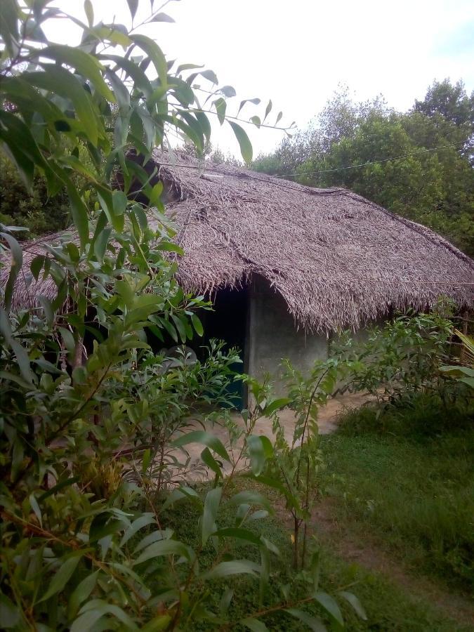 Mermaid Cabana And Tree Houses Tangalle Esterno foto