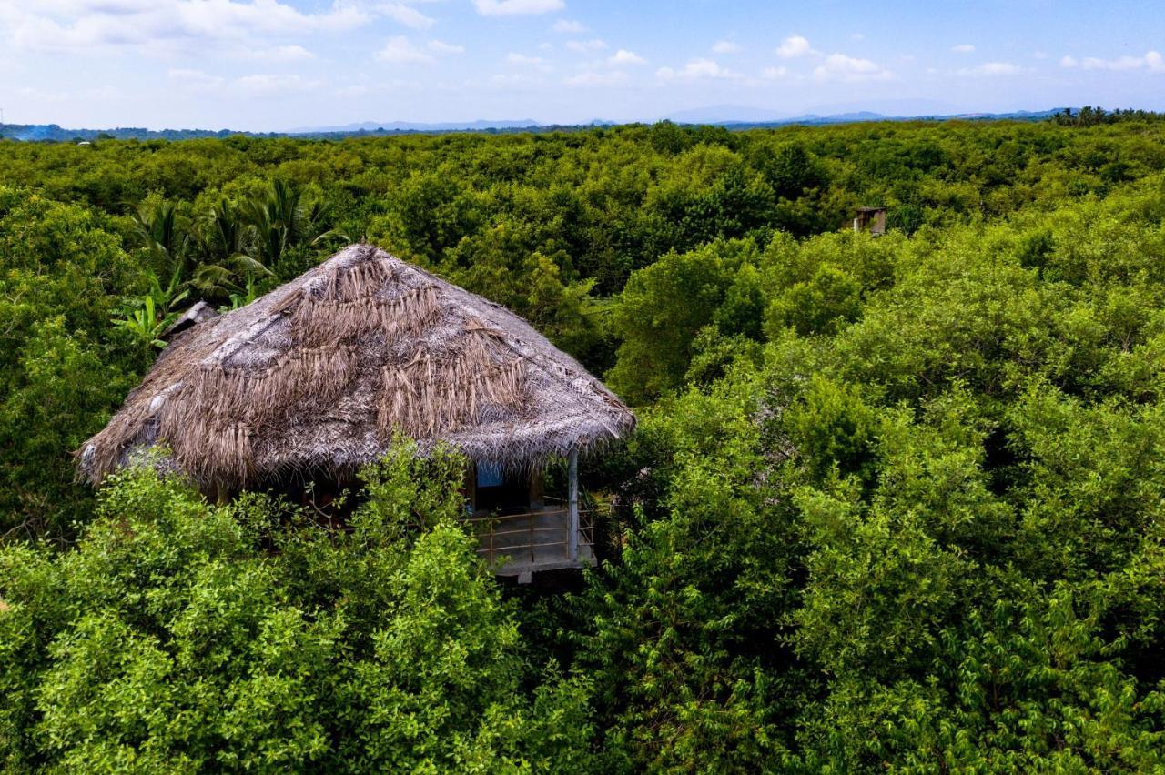 Mermaid Cabana And Tree Houses Tangalle Esterno foto