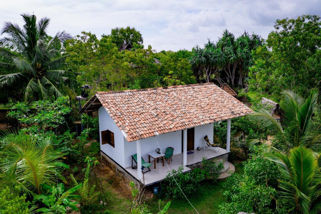 Mermaid Cabana And Tree Houses Tangalle Esterno foto